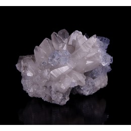 Calcite and Fluorite La Viesca M04583